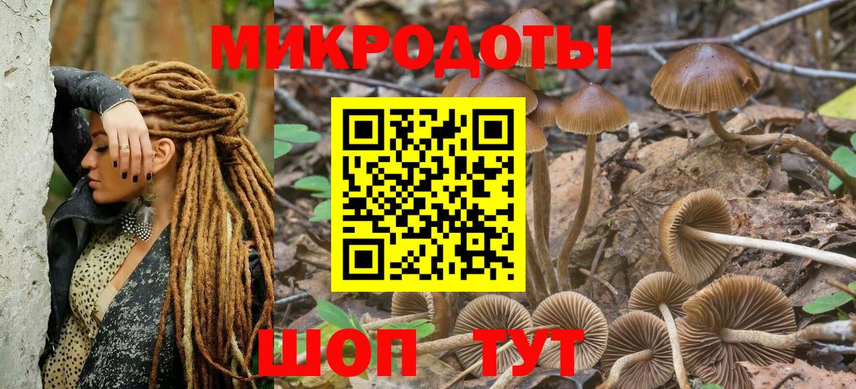 продажа наркотиков  Псилоцибиновые грибы Psilocybe  Вход с VPN  Йошкар-Ола 