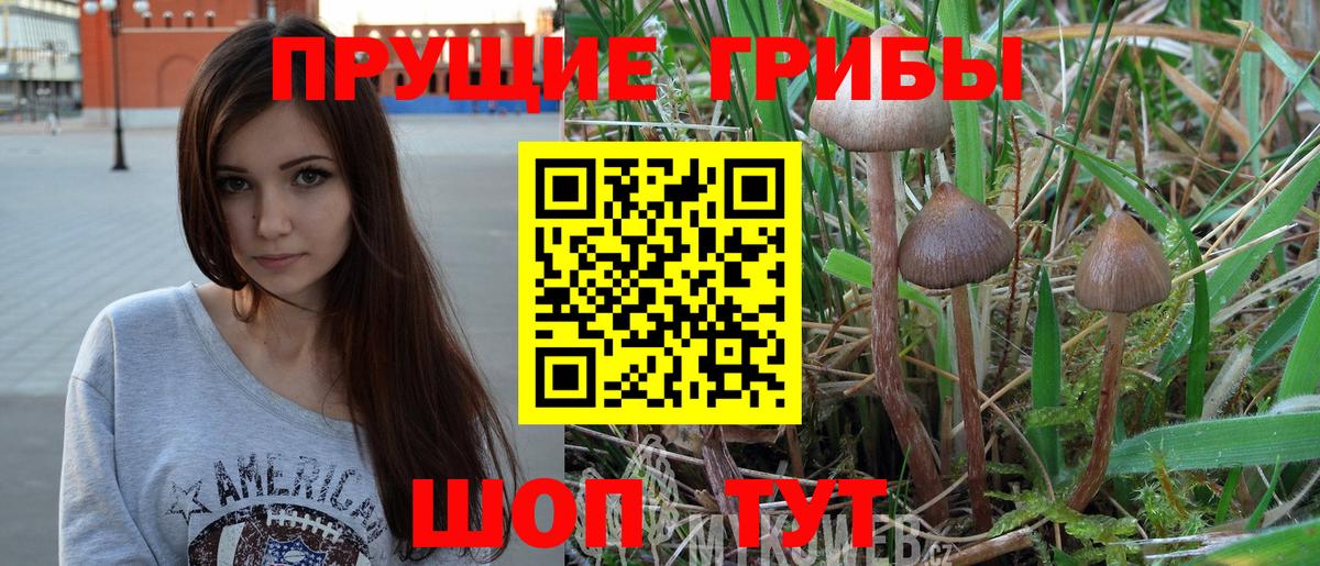 Псилоцибиновые грибы GOLDEN TEACHER Йошкар-Ола